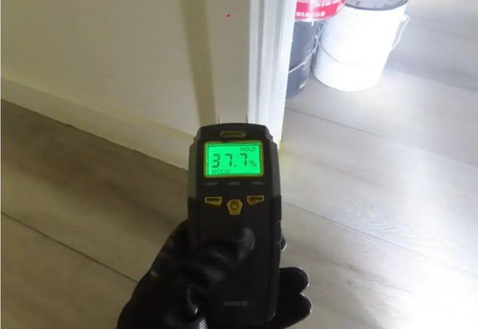Comprehensive Mold Testing and Air Quality 