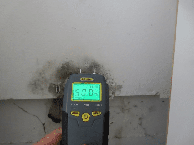 Orange County Mold Testing