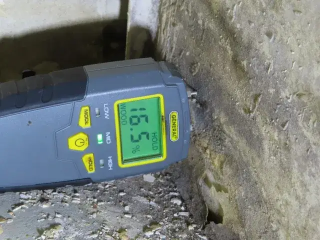 Top Signs You Need Mold Testing in Hermosa Beach Homes